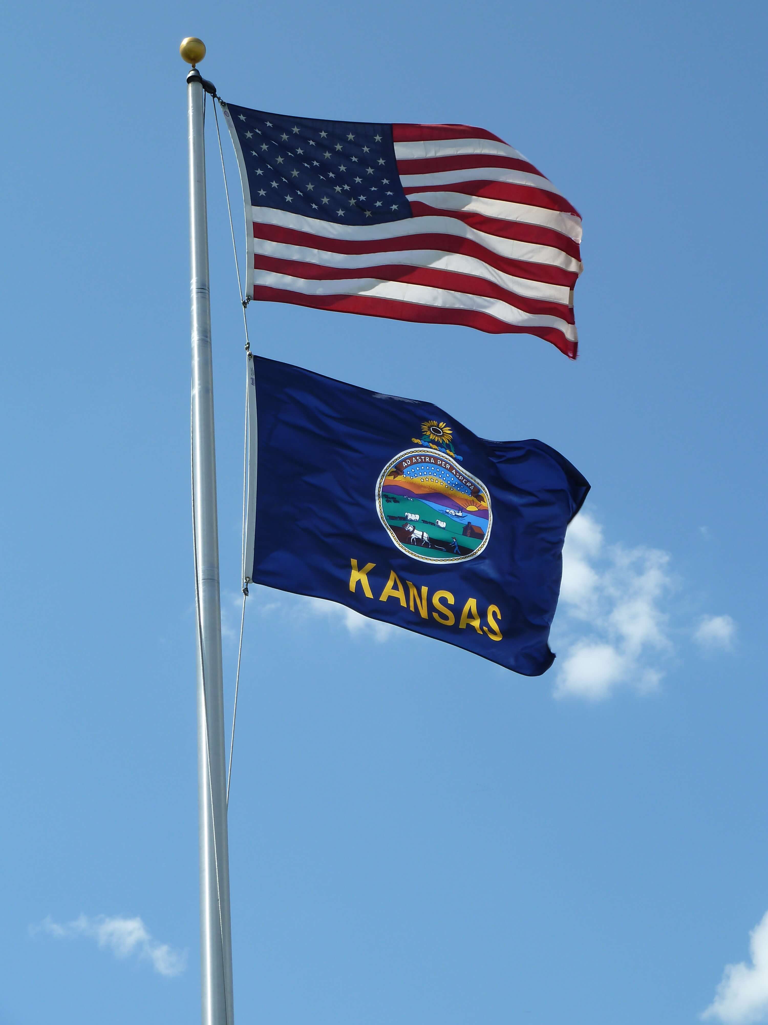 Service Image County and State Entities